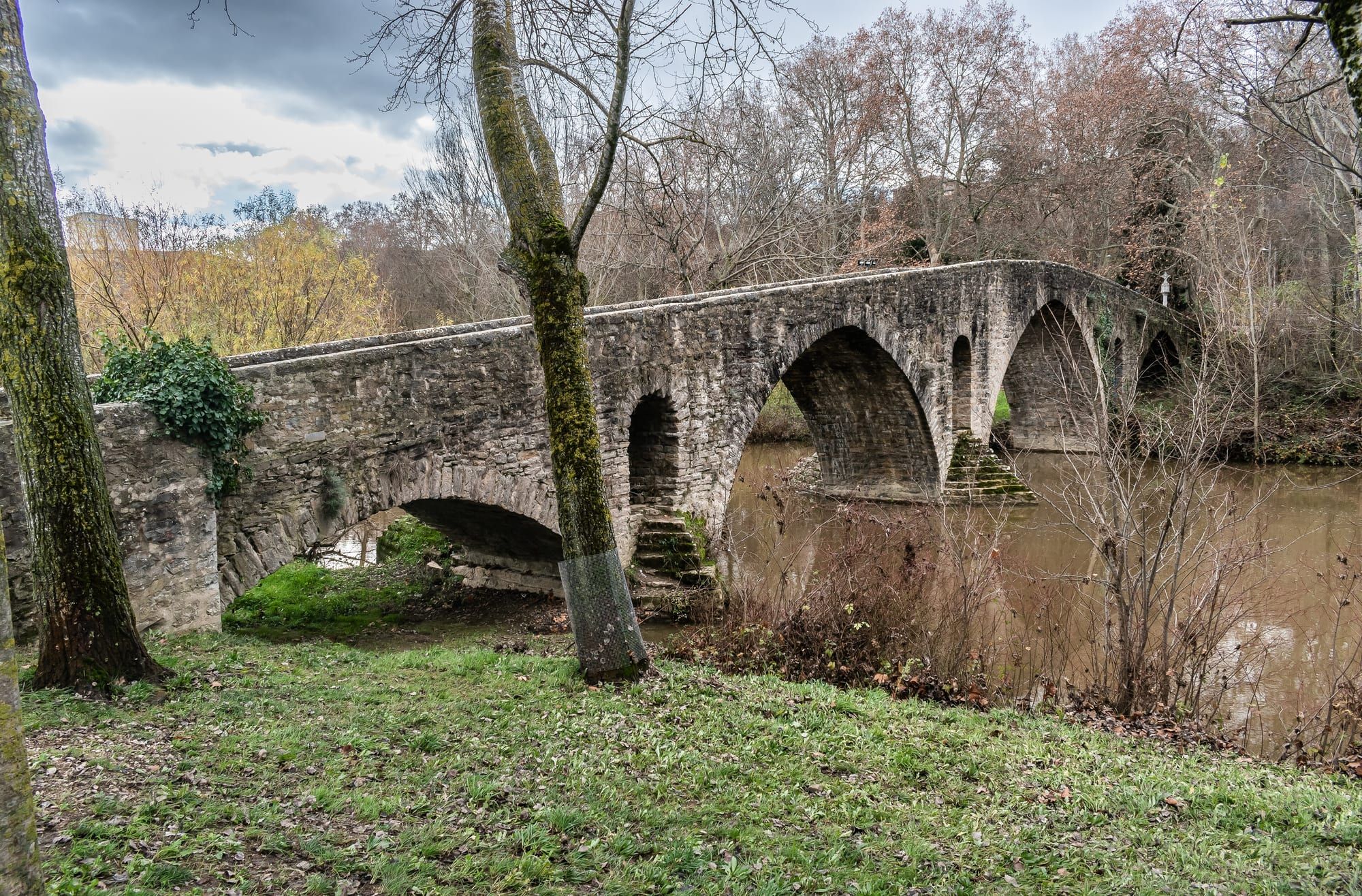 The medieval Puente de la Magdalena, the stone bridge by which the Camino crosses the river Arga into Pamplona, on a grey winter day: pointed arches of rough grey stone with stepped cutwaters span the brown water, framed by a mossy tree trunk on the left and a slender tree in the middle, with bare branches and russet foliage on the far bank and a grassy riverside lawn in the foreground